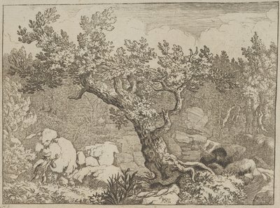 Le chasseur près du grand arbre, 17e siècle - Allart van Everdingen