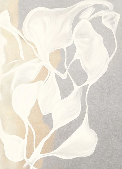 Formes organiques fluides - Alma