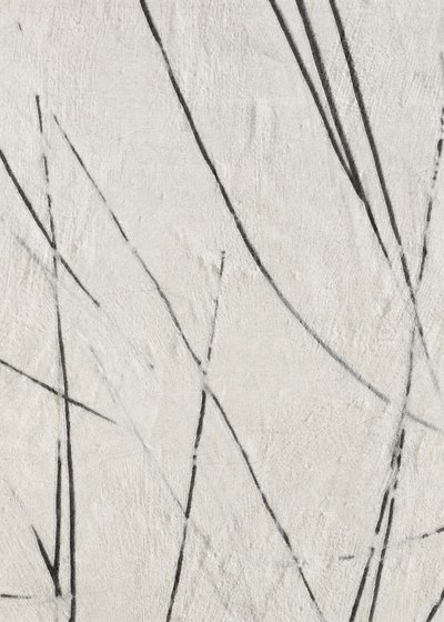 Lignes organiques et textures - Alma