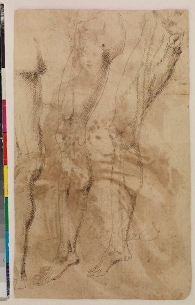 Trois études d