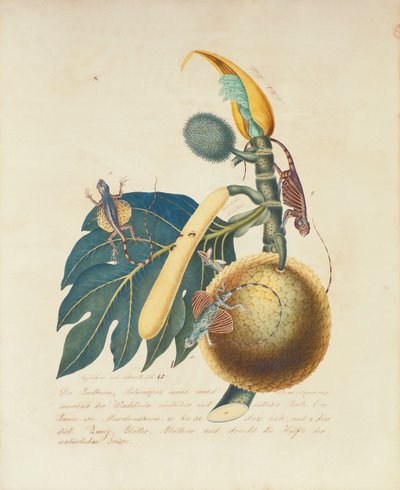 Der Broadbaum, 1847 - Aloys Zötl