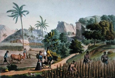 Île de Guam : Travaux agricoles, de 