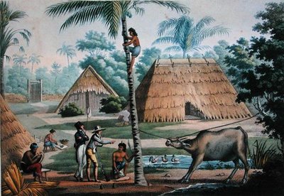Vue des environs de Coupang, Timor, de 