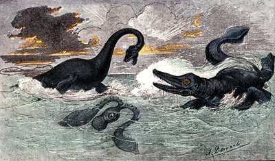 Période Lias (Jurassique Inférieur) : Plésiosaure et Ichtyosaure, création naturelle et êtres vivants (par Jules Rengade) Dessin par A. Demarle. 1885 - Alphonse Demarle