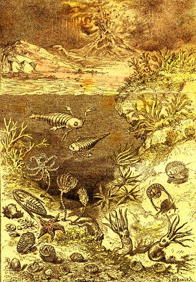 Préhistoire-Fin de la période silurienne: Création naturelle et êtres vivants (J. Rengade) Dessin A. Demarle. 1885 - Alphonse Demarle