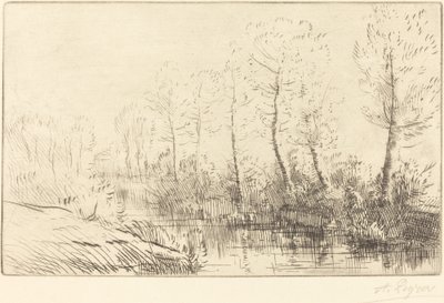 Les bouleaux : Bord de l