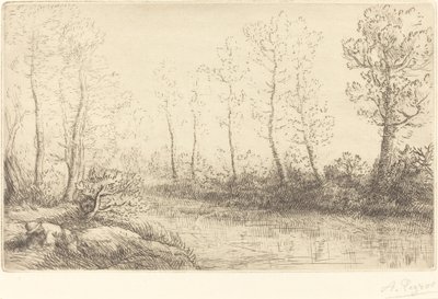 Les Bouleaux: Bord de l