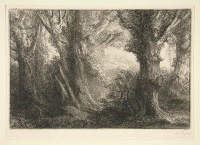 Dans la forêt de Conteville - Alphonse Legros