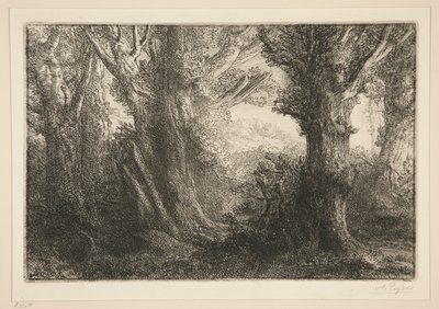 Dans la forêt de Conteville - Alphonse Legros