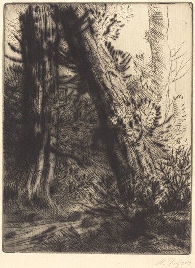 Bord de Ruisseau - Alphonse Legros