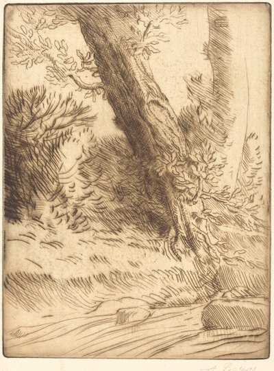 Bord de ruisseau - Alphonse Legros