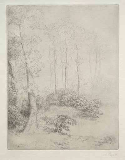 Au Bord de l