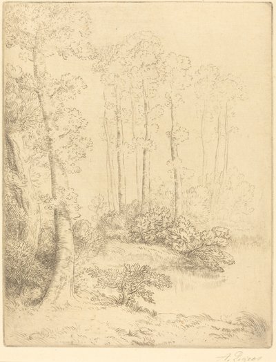 Au bord de l