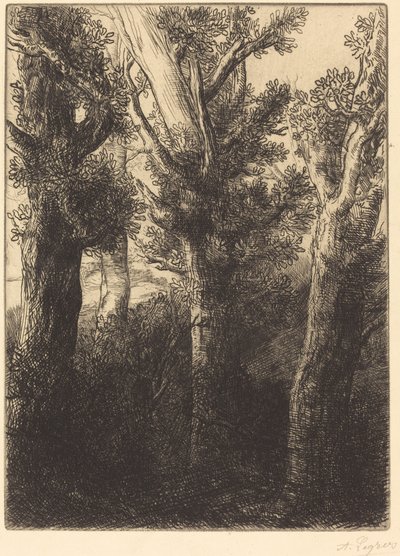 Forêt allemande, Downley - Alphonse Legros