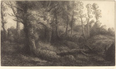 À la lisière de la forêt - Alphonse Legros