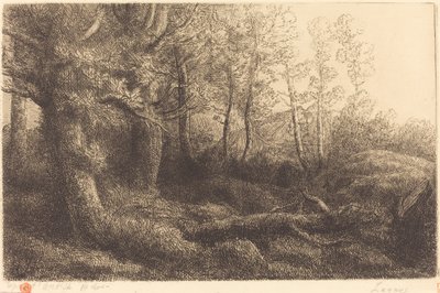 À la lisière de la forêt - Alphonse Legros