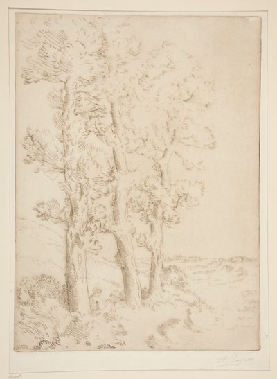 La liseuse : La lecture sous les arbres - Alphonse Legros