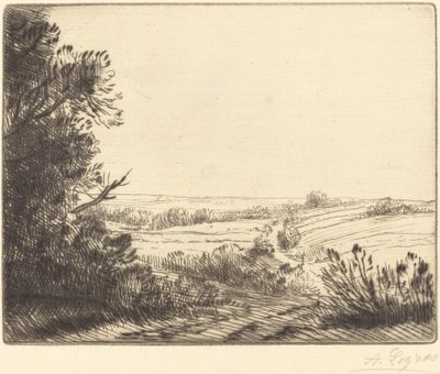 Paysage: Chemin d