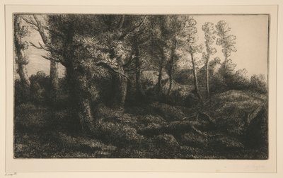 Lisière de forêt - Alphonse Legros