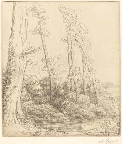 La petite mare - Alphonse Legros