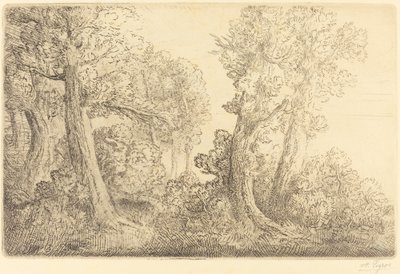 Près du bois, Véronne - Alphonse Legros