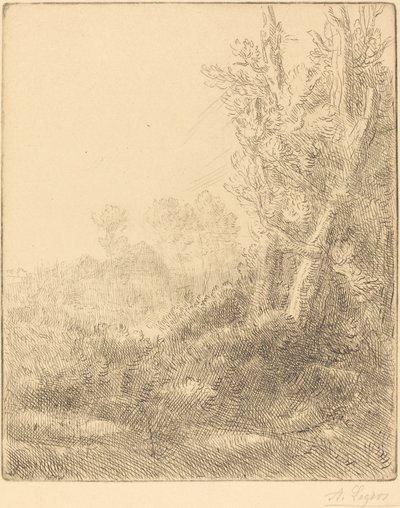 Vieux Village - Alphonse Legros