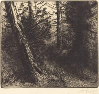 Sentier sous bois - Alphonse Legros