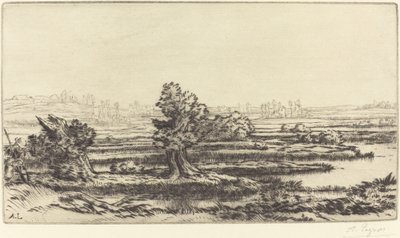 Tourbières - Alphonse Legros