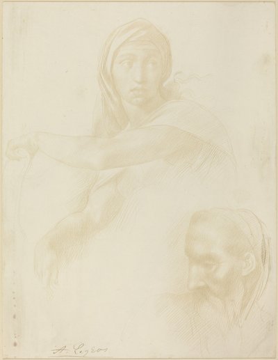 Étude de la Sibylle de Delphes, Tête d