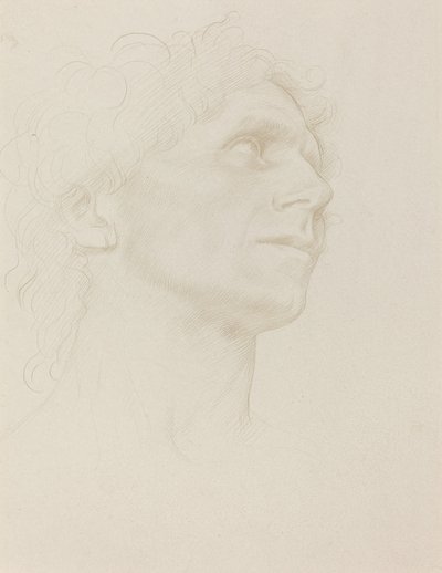 Étude de tête de femme, tournée à droite - Alphonse Legros
