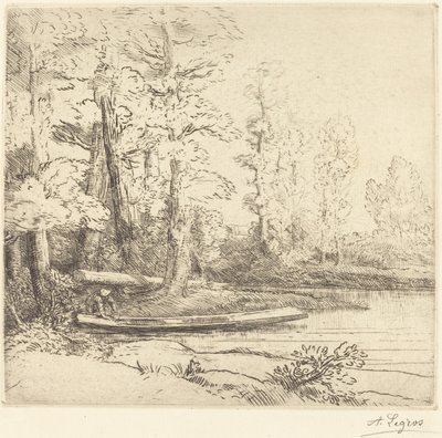 Les arbres au bord de l