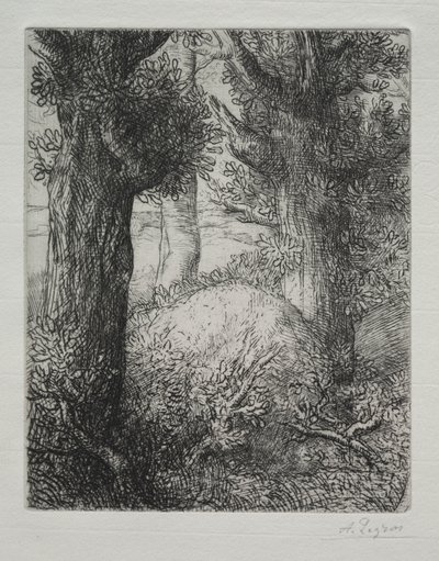Tumulus gaulois - Alphonse Legros