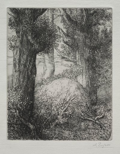 Tumulus gaulois - Alphonse Legros