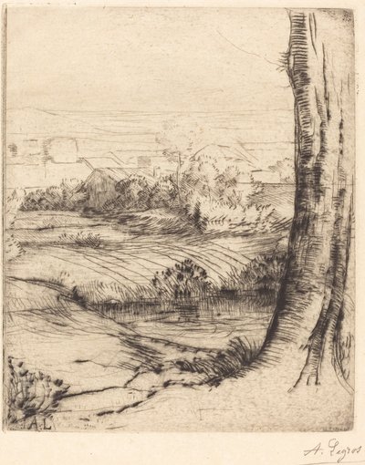 Coin de roseau - Alphonse Legros