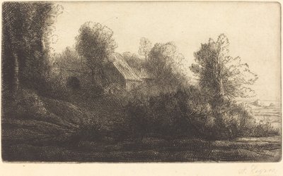 Vue d