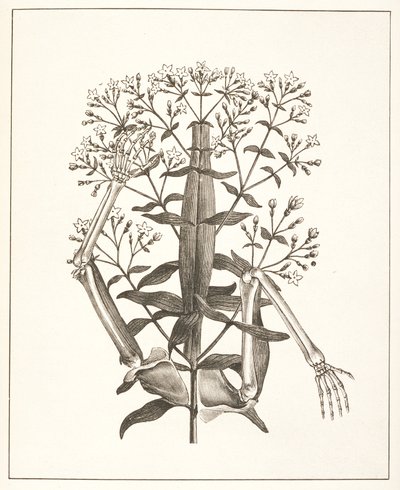 Illustration de 