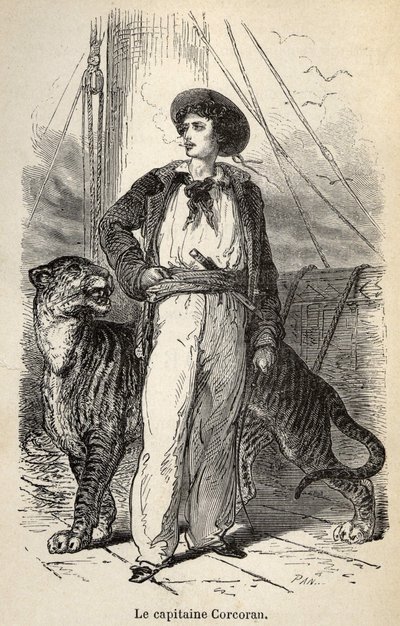 Illustration des « Aventures merveilleuses mais authentiques du capitaine Corcoran » par Alfred Assollant, illustrée de 25 vignettes dessinées sur bois par A. de Neuville, Librairie Hachette et Cie à Paris - Alphonse Marie de Neuville