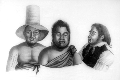 Portraits des chefs des îles Sandwich - Alphonse Pellion