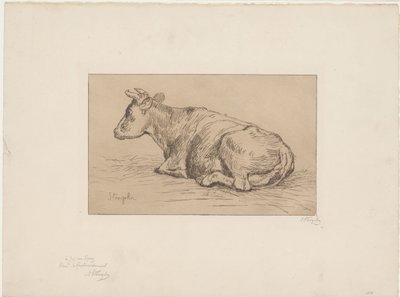 Vache couchée - Alphonse Stengelin (signed by artist)