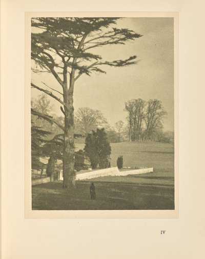 Le bord du jardin - Alvin Langdon Coburn