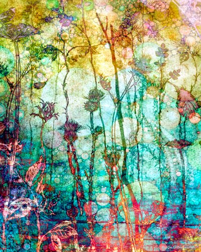 Une riche tapisserie (chaude), 2014 - AlyZen Moonshadow