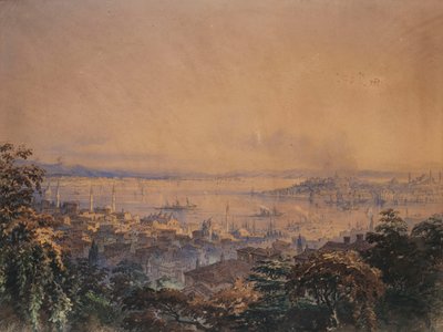 Vue de Constantinople, 1866 - Amadeo Preziosi