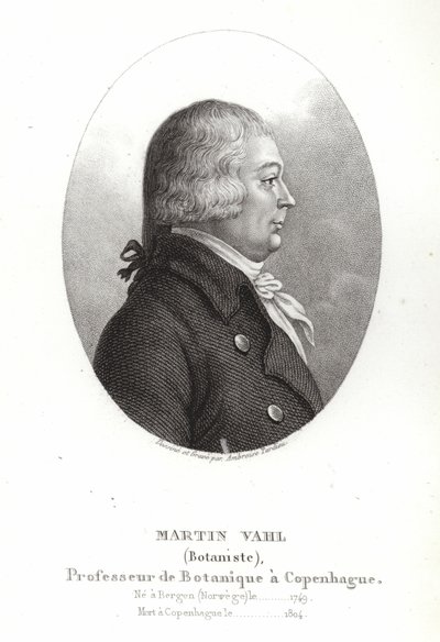 Martin Vahl - Ambroise Tardieu