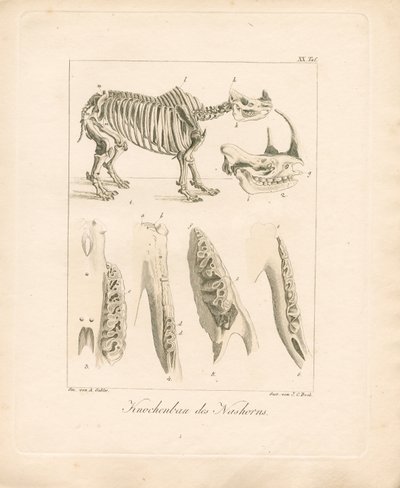  - Ambrosius Gabler