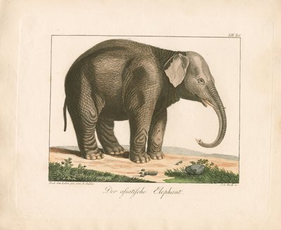  - Ambrosius Gabler