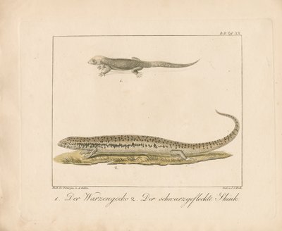  - Ambrosius Gabler