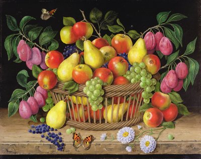 Pommes, poires, raisins et prunes, 1999 - Amelia Kleiser