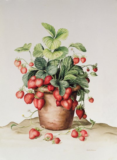Fraises en pot, 1998 - Amelia Kleiser