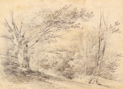 Bromley Hill - Amelia Long