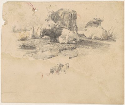 Troupeau de bovins - American 19th Century
